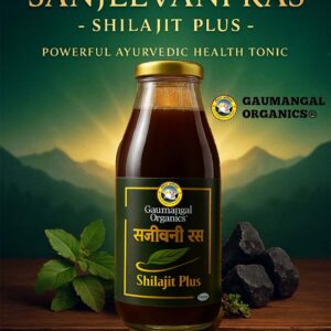 Gaumangal Sanjeevani Ras Shilajit Plus