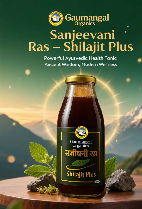 SHILAJIT PLUS 2