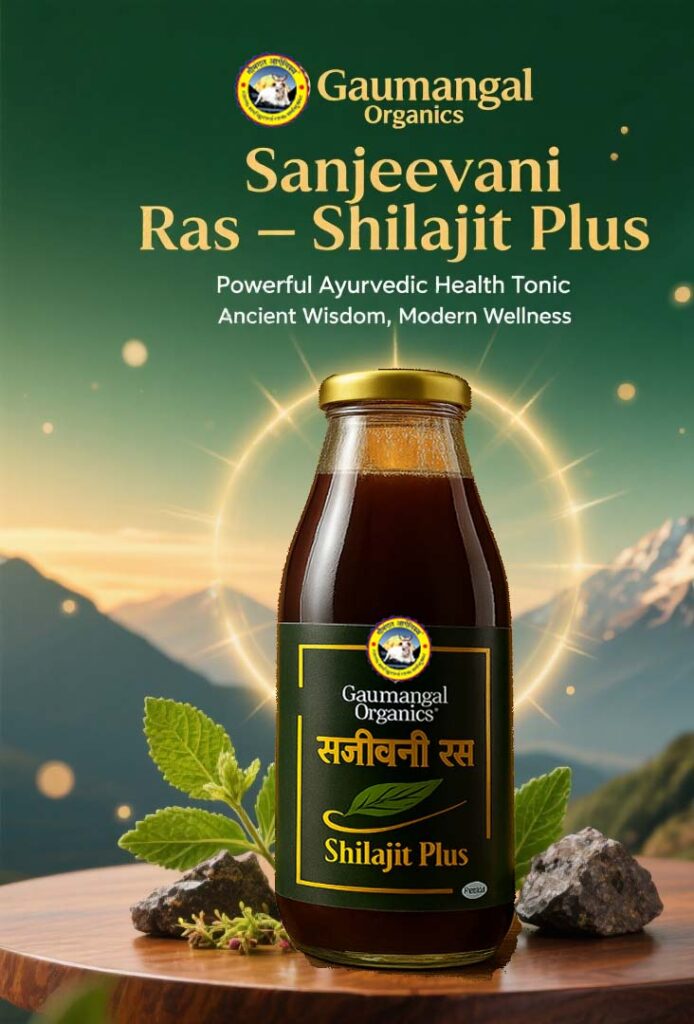 Gaumangal Shilajit Syrup