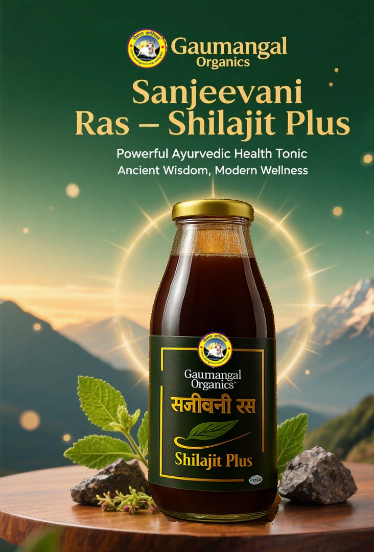 SHILAJIT PLUS 2